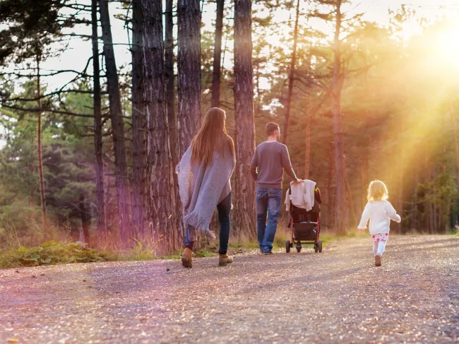 family government social freedom feminism